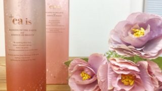 プラスエアイズ